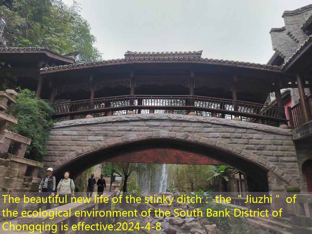 The beautiful new life of the stinky ditch： the ＂Jiuzhi＂ of the ecological environment of the South Bank District of Chongqing is effective